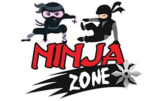 flach gym ninja zone featured 1 - Gymnastics Classes